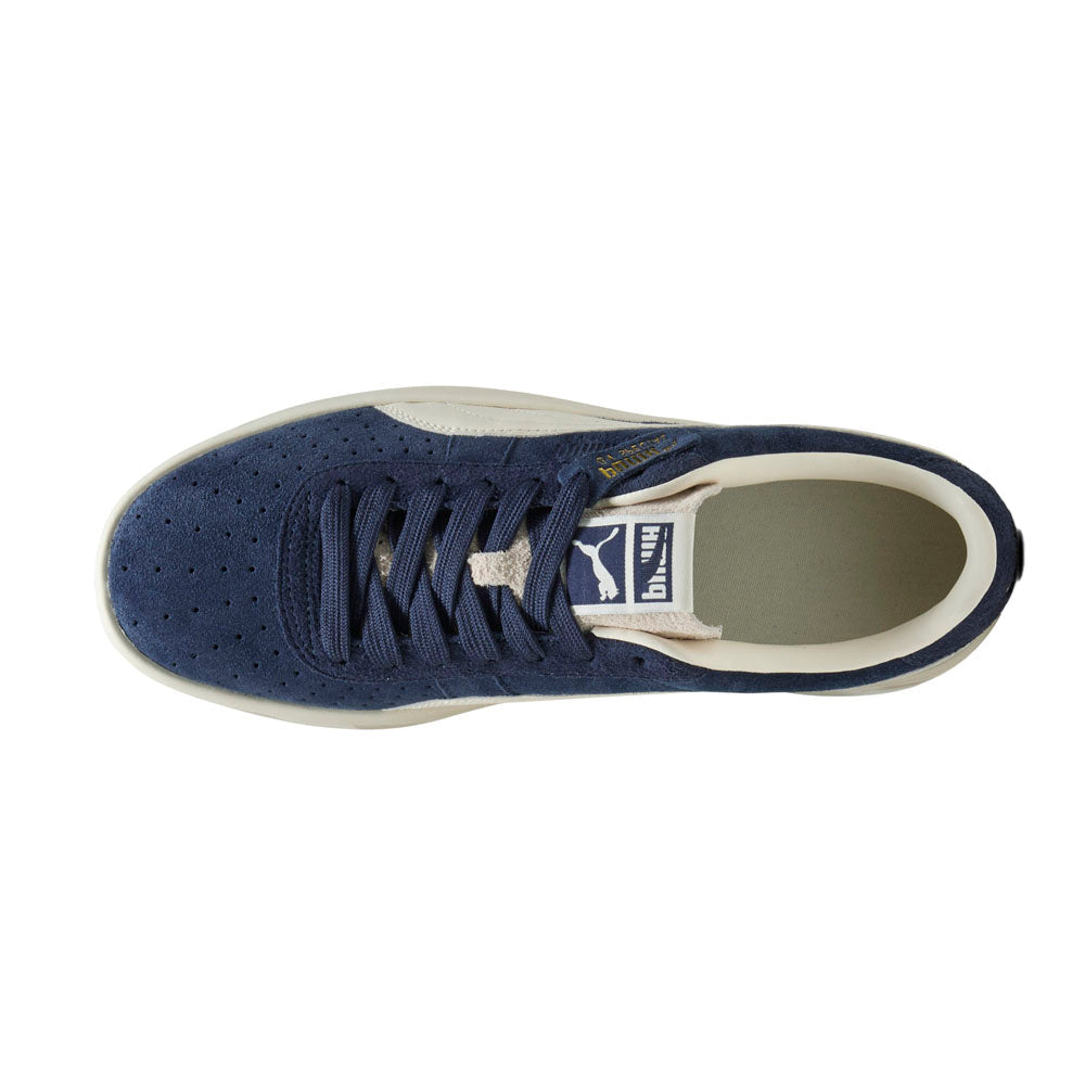 GV Special Suede Lace Up Sneakers