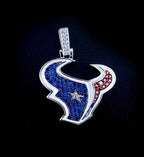 Houston Texans Official NFL Pendant