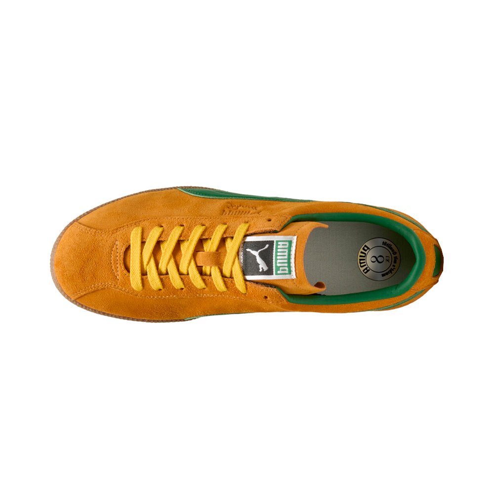 Brasil Lace Up Sneakers