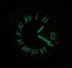 42MM Iced Alpha Era® Luminous Skeleton Gold w/ Rubber Strap