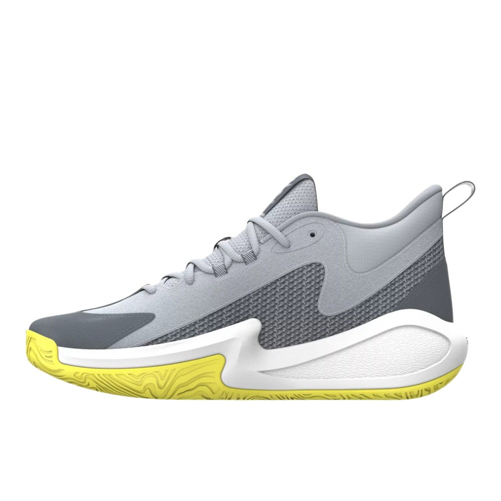 Curry 3Z 25 SDE Basketball Shoes