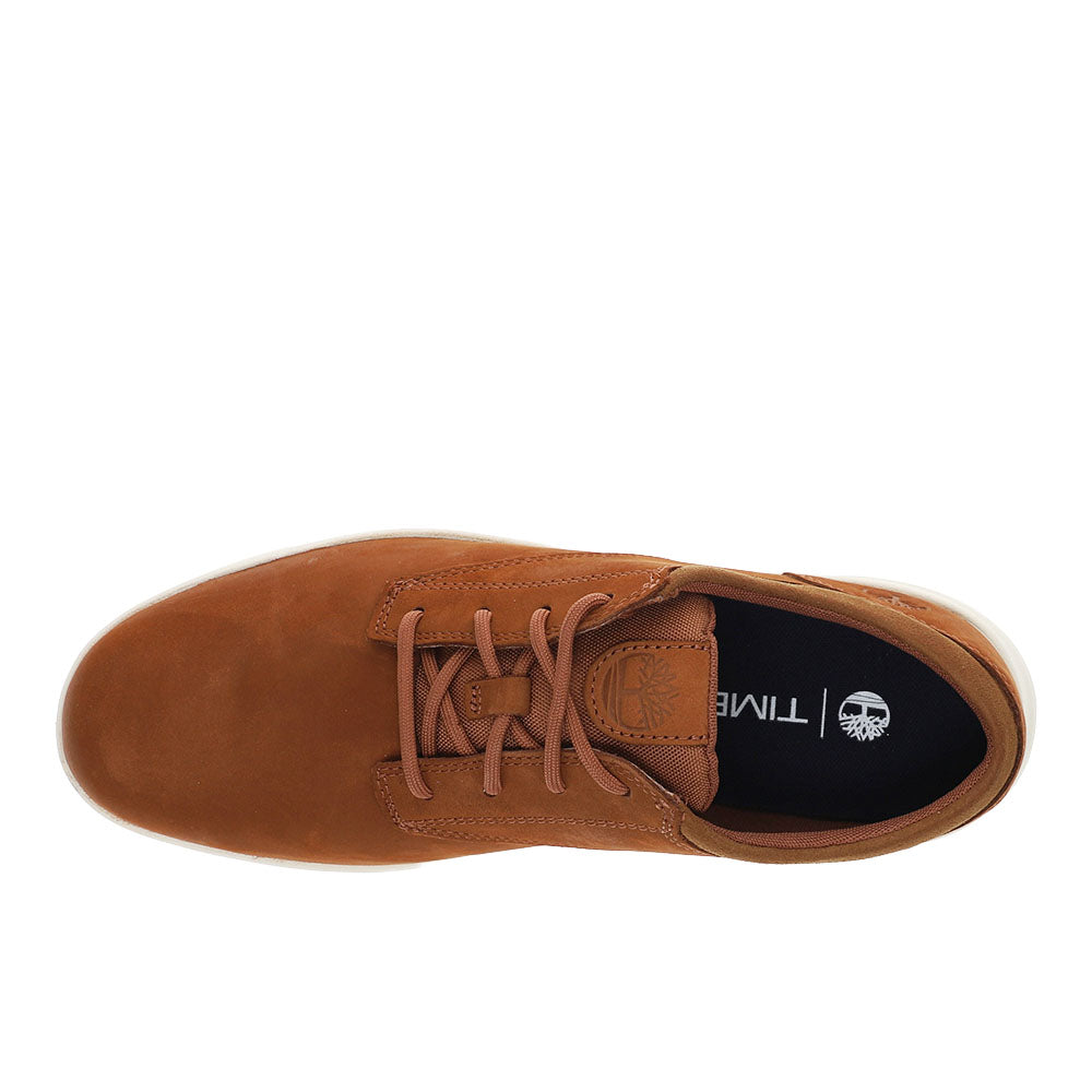 Parker Street Lace Up Sneakers