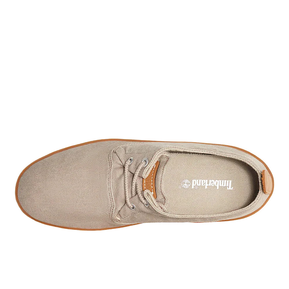 Hookset Canvas Sneaker