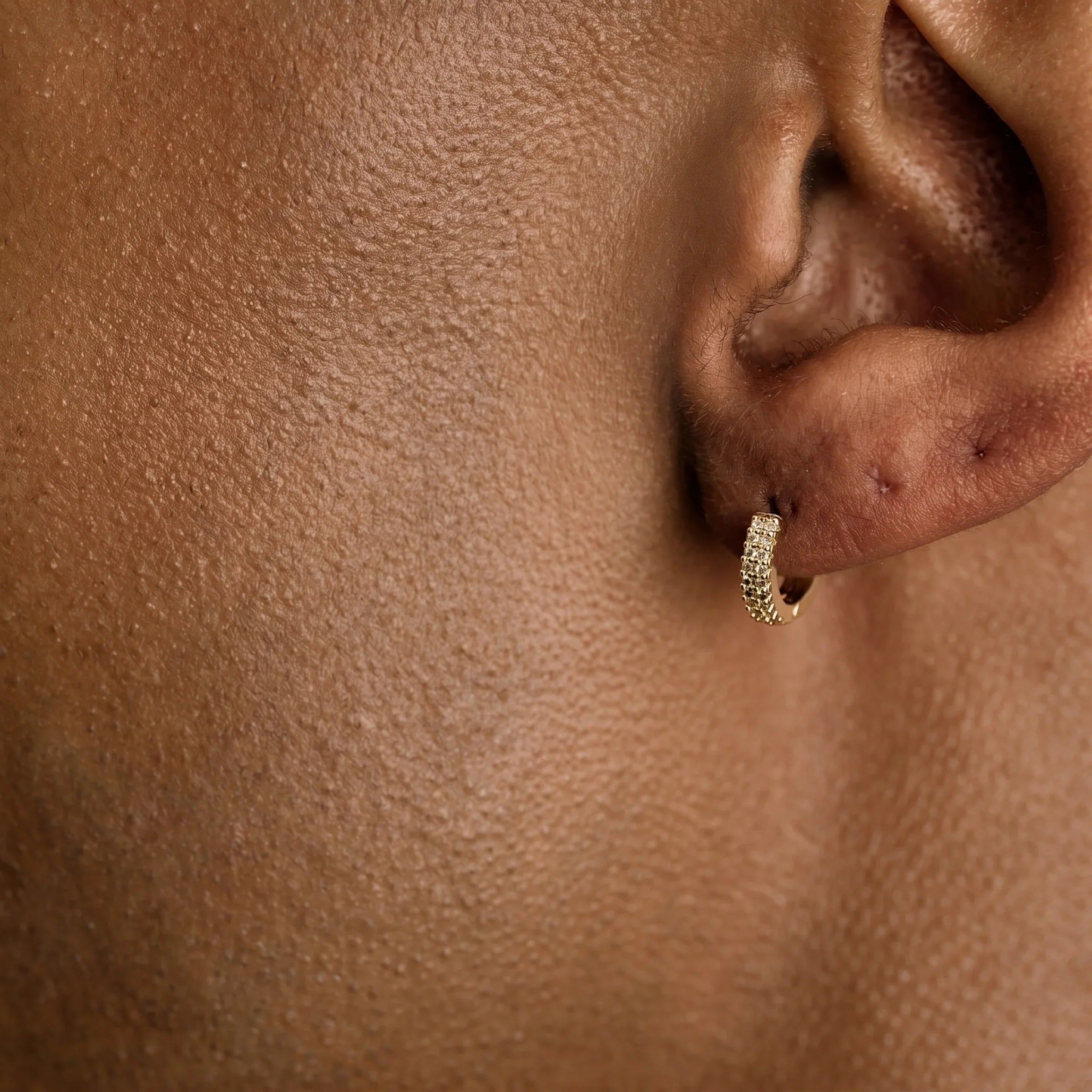 Double Row Hoop Earrings in Yellow Gold