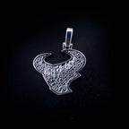 Houston Texans Official NFL Pendant