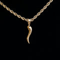 Italian Horn Pendant in Yellow Gold