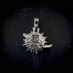 Miami Dolphins Official NFL Pendant